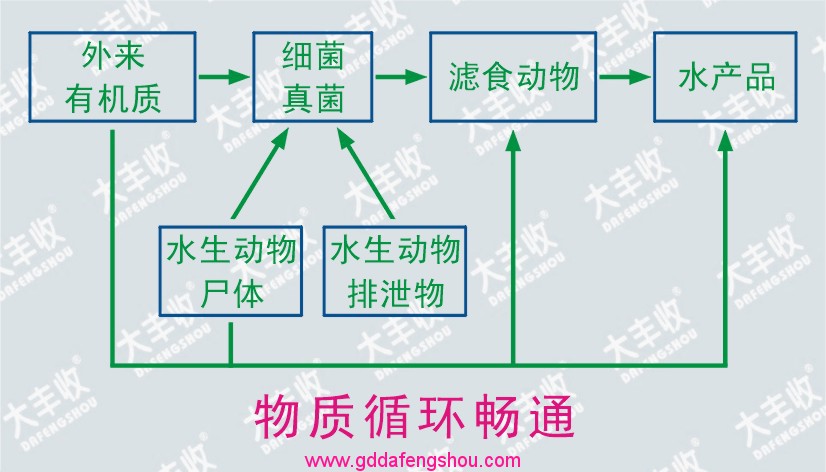 圖片關鍵詞